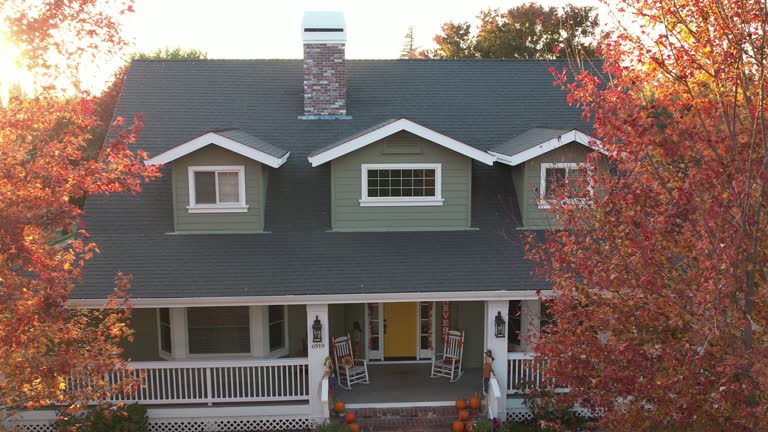 Best Metal Roofing Installation  in Pine Grove, CA