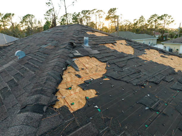 Best Roof Leak Repair  in Pine Grove, CA